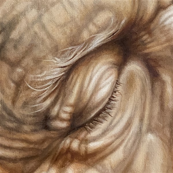 Fielf of Dreams Detail 1 (600 x 600)